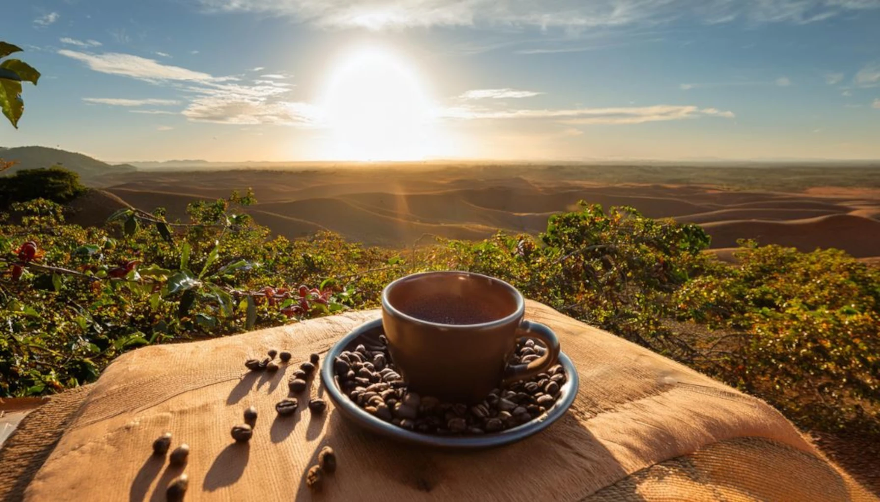 La Guajira - A Hidden Gem of Colombia’s Coffee Culture
